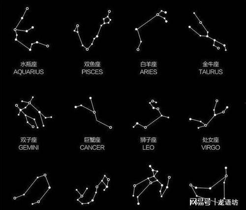 十二星座的视频,视频带你领略个性风采