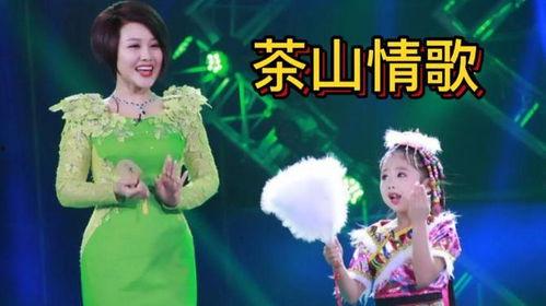茶山情歌视频,悠扬旋律中的山水画卷