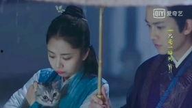 乔四爷视频,揭秘传奇人物背后的故事与传奇人生