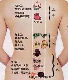 背部手法视频,轻松掌握专业按摩技巧