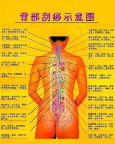 中暑刮痧视频,中暑刮痧视频教学，轻松应对高温挑战