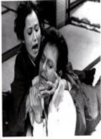 女体视频,一场视觉与情感的盛宴