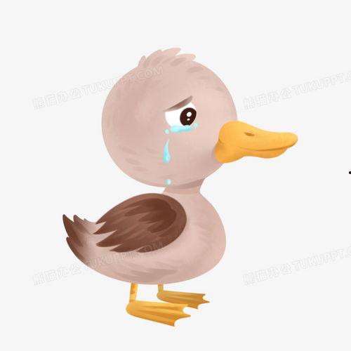 丑小鸭故事视频,勇敢追梦的励志传奇