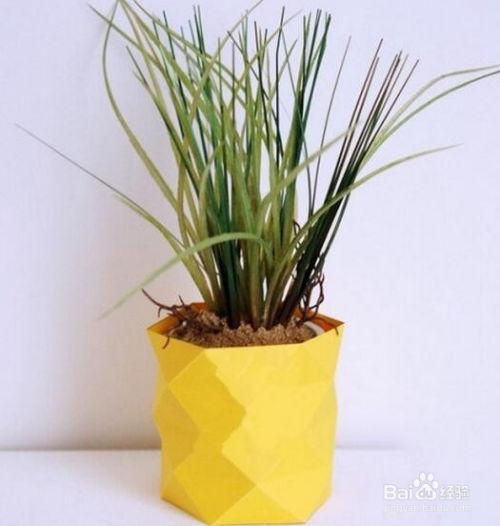 花盆制作视频,打造个性化家居绿植角落