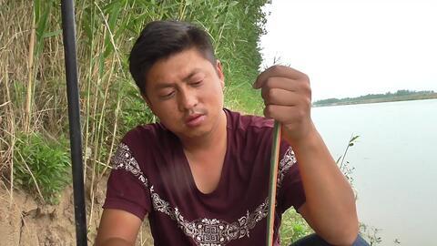 顿口视频,瞬间捕捉生活精彩瞬间