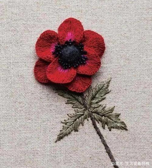 手工刺绣视频,跟随视频教程，领略手工刺绣之美