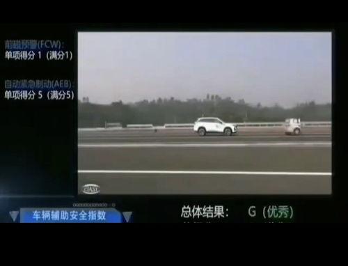 75视频,揭秘热门话题背后的真相与观点