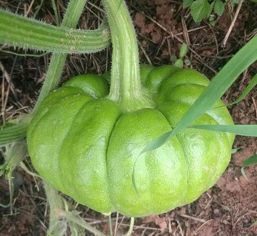 人人吃瓜今日吃瓜,热点事件一网打尽