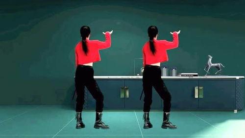 简单的广场舞视频,活力四溢的舞蹈盛宴