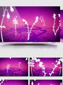 免费视频背景,创意无限，应用广泛