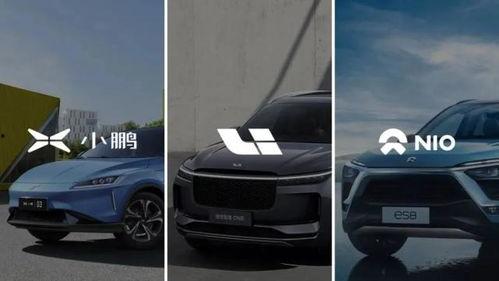 蔚视频,探索视觉盛宴的无限可能