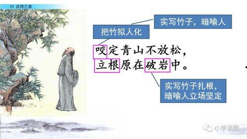 古诗词讲解视频,跟随视频探寻诗词之美