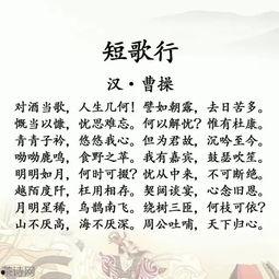 古诗词讲解视频,跟随视频探寻诗词之美