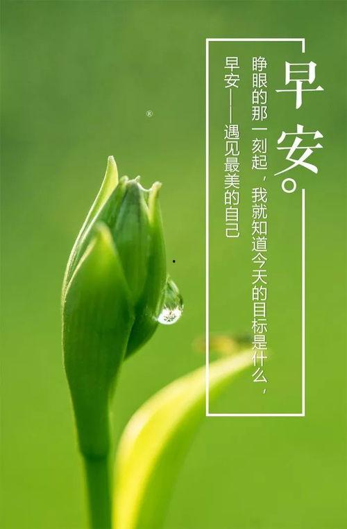 吃瓜爆料正能量图片高清,正能量图片高清解析