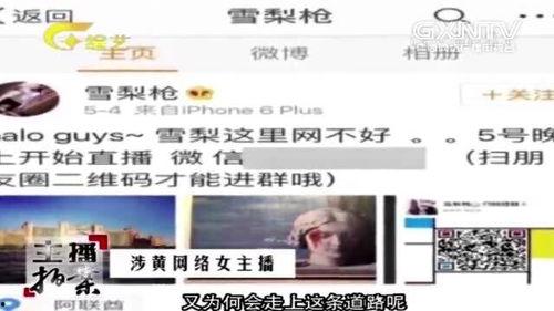 免费不良视频在线观看,揭秘免费不良视频在线观看的陷阱与风险