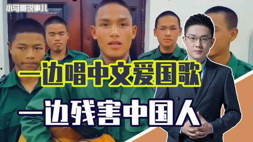 爱国歌曲视频,重温经典爱国歌曲视频