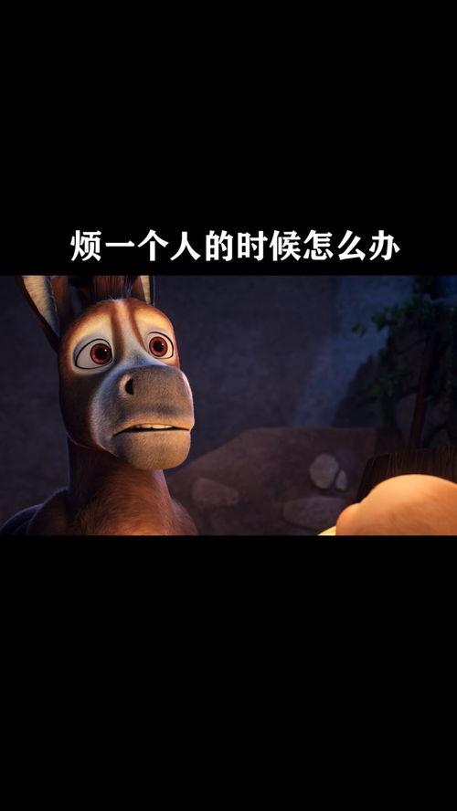 一个人的搞笑视频,笑料横生！这位网友的搞笑视频让人捧腹大笑