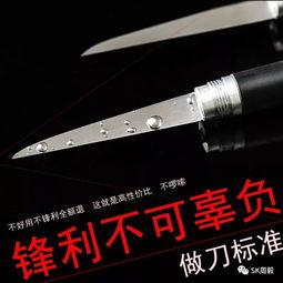 燕子教学视频,轻松掌握鸟类观察与摄影技巧