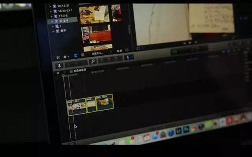 燕子教学视频,轻松掌握鸟类观察与摄影技巧