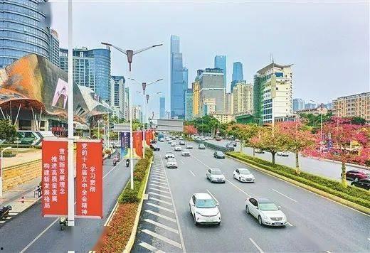 广西南宁视频,视频中的绿城风情掠影