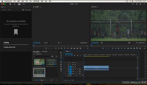 视频编辑pr,打造专业级概述文章