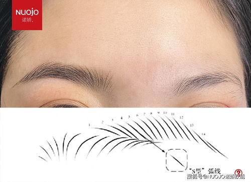 纹绣教程视频,轻松掌握专业纹绣技巧