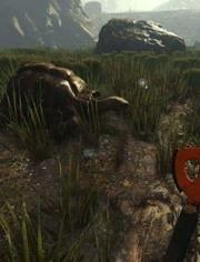 迷失森林视频,探寻未知世界的奇幻之旅