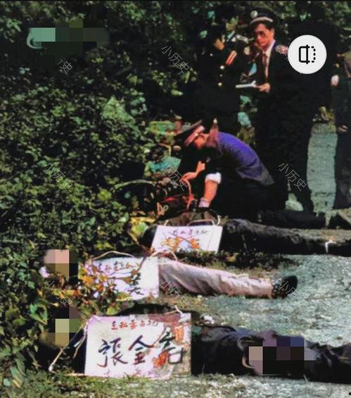 枪毙犯人视频,震撼人心的瞬间回顾