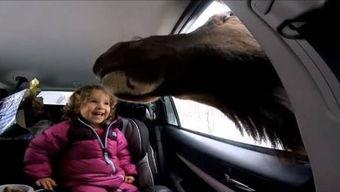 食人视频,食人视频背后的恐怖真相