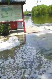 大明湖视频,视频带你领略济南美景