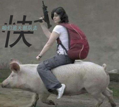 骑猪搞笑视频,爆笑骑猪视频，欢乐无限