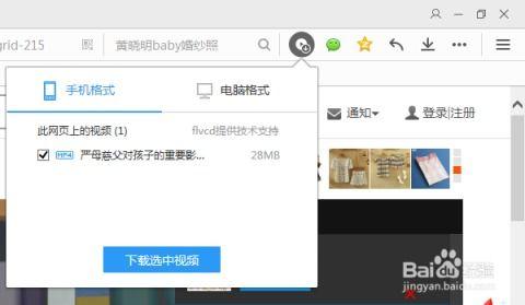 怎么下载在线视频,在线视频下载全攻略