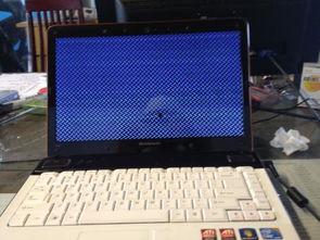 笔记本看视频,视频内容精华速览