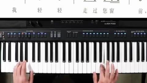 电子琴入门视频,入门视频精华解析