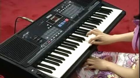 电子琴入门视频,入门视频精华解析