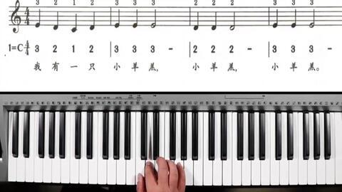 电子琴入门视频,入门视频精华解析