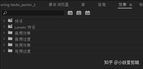 pr 裁剪视频,打造精彩视频概述