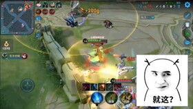 木兰飞刀教学视频,视频教学精华解析与实战技巧