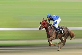 二胡赛马视频,一场视听盛宴的精彩瞬间