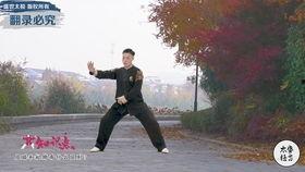 杨式太极拳85式教学视频,入门至精通的修炼指南