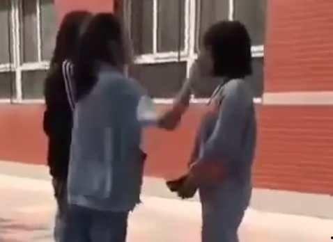 女孩打架视频,女孩间激烈冲突视频引发热议