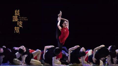 身韵舞蹈视频,探寻舞蹈艺术的魅力瞬间