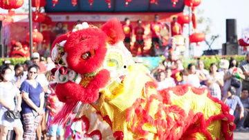 舞狮子教学视频,跟随教学视频解锁狮子舞动奥秘