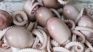 网红八爪鱼吃瓜爆料图片,揭秘娱乐圈幕后真相