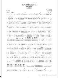 二胡独奏曲视频,二胡独奏曲视听盛宴