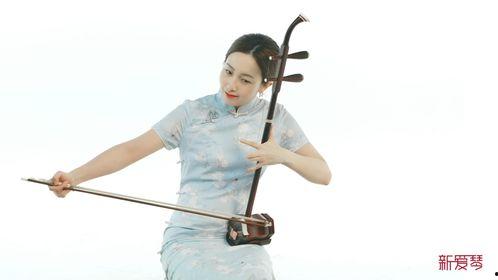 二胡独奏曲视频,二胡独奏曲视听盛宴