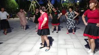 跳舞大全视频,揭秘跳舞大全视频中的精彩瞬间与舞蹈技巧