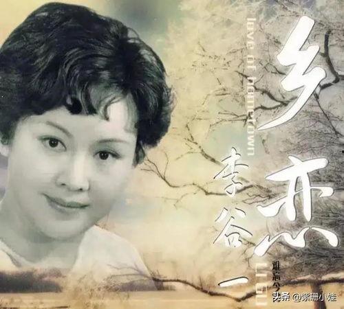 乡恋视频,探寻家乡记忆的温馨时光