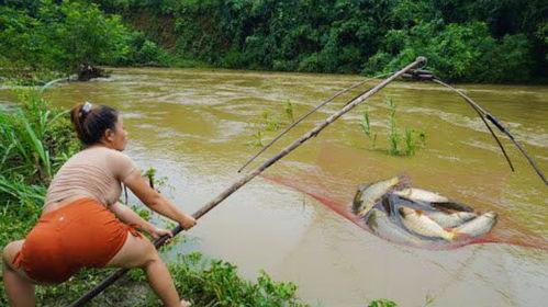 陷阱抓鱼视频,视频教你轻松捕捞