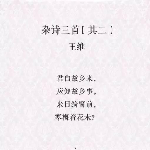 诗词朗读视频,诗词朗读视频中的古典韵味再现